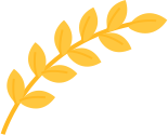 9.png 图片
